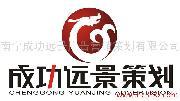 南宁成功远景广告营销策划_广告设计/制作/代理_产品营销策划_房地产全程策划
